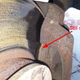 Image for article titled Here's How You Can Make Sure Your Car Is Safe To Drive